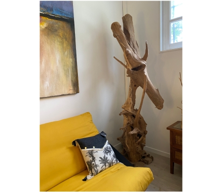 Racine décorative Teck