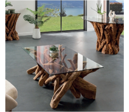 Table basse racine Teck