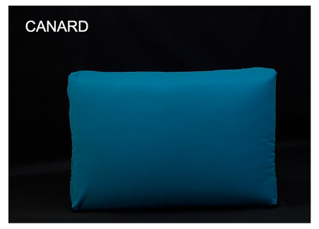 Coussins déhoussable 40*60*13cm