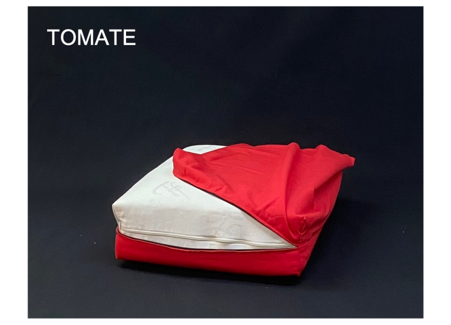 Coussin déhoussable 40*60*13cm