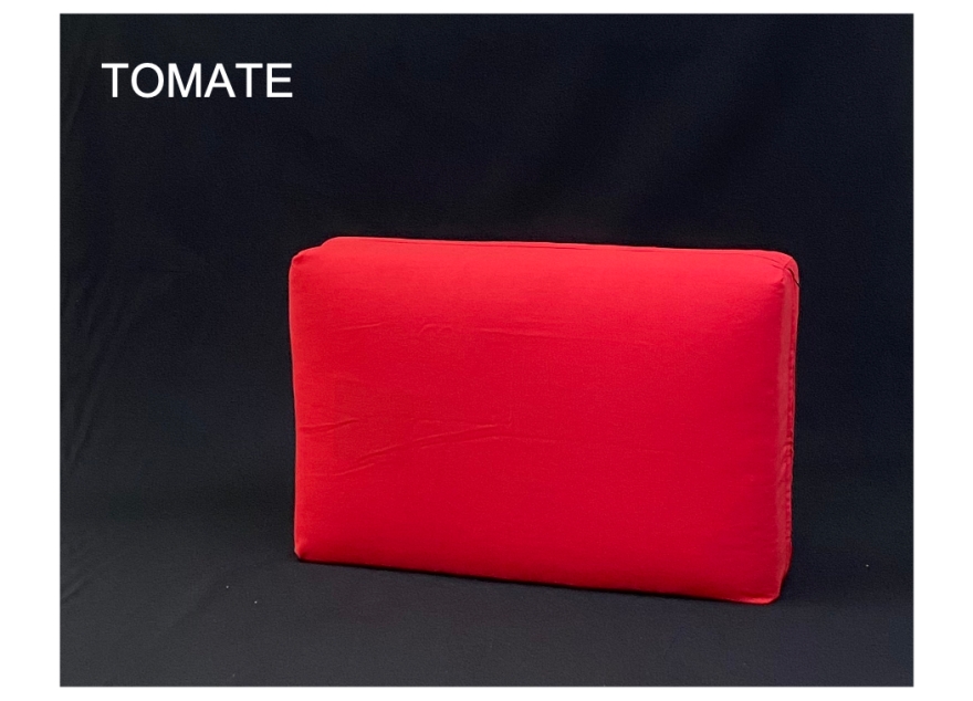 Coussin déhoussable 40*60*13cm